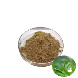 Green Tea Polyphenols 30%